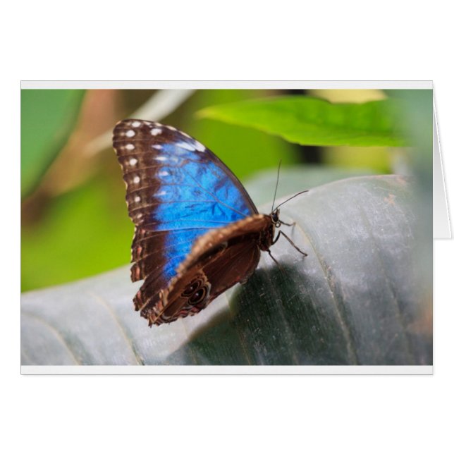 Regalos Destinos (Anverso (Horizontal))