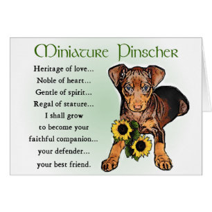 Regalos en miniatura de Pinscher