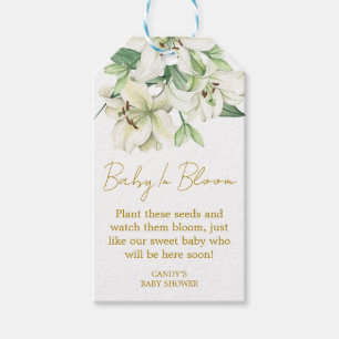 Regalos Etiquetas de regalo de semillas para baby shower d