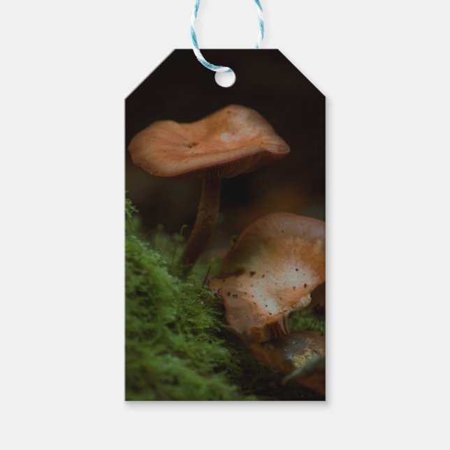 Regalos Etiquetas de regalo para hongos (Anverso)