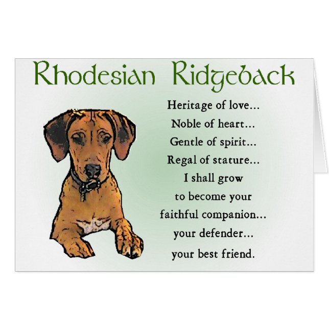 Regalos Ridgeback Rhodsi (Anverso (Horizontal))