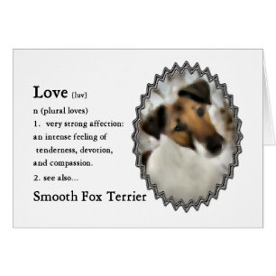 Regalos Smooth Fox Terrier