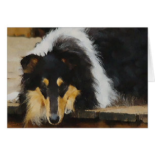 Regalos Tri-Color Rough Collie
