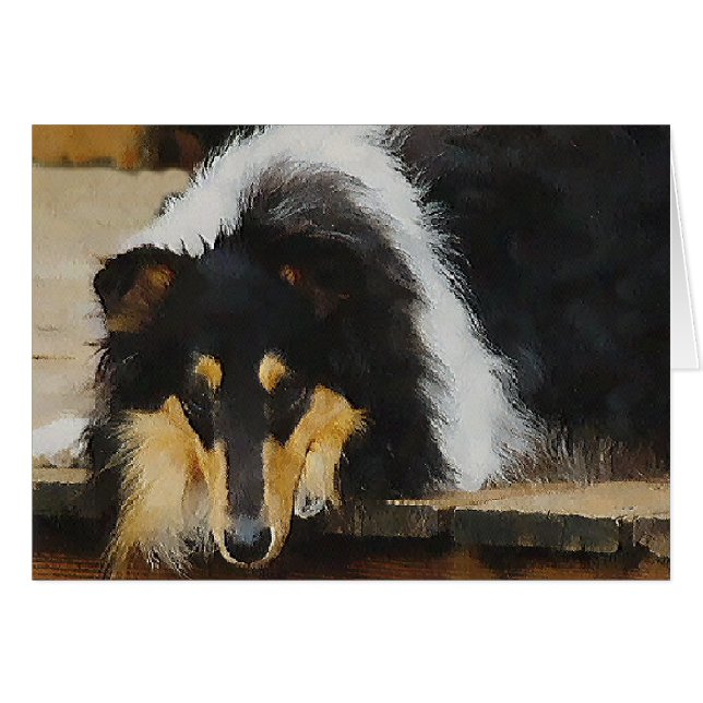 Regalos Tri-Color Rough Collie (Anverso (Horizontal))