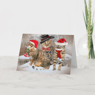 Regalos y ropa del día del navidad de Bengala