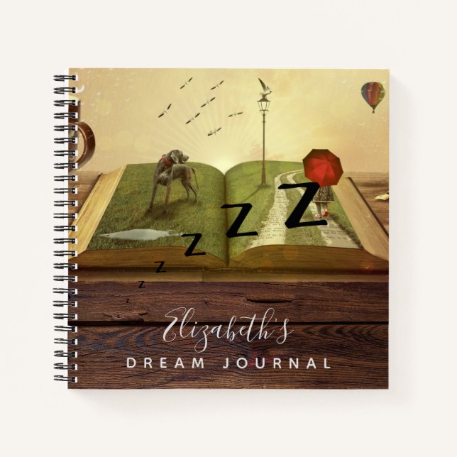 Registro de Análisis del Diario de Sueños Fotográf (Anverso)
