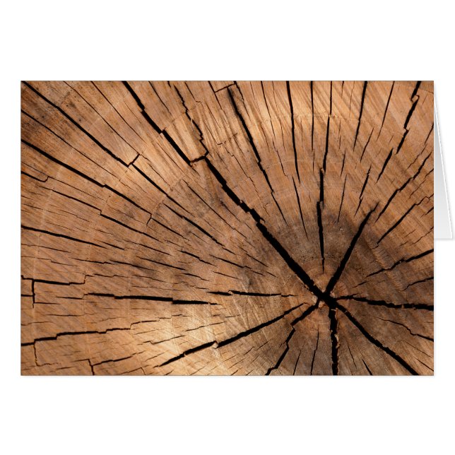 Registro de madera agrietada (Anverso (Horizontal))