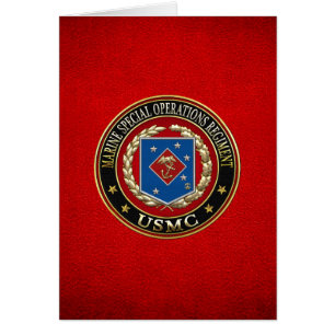 Registro de Operaciones Especiales Marinas (MSOR) 