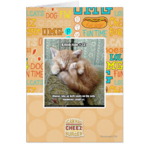 Regla #231 de Kitteh