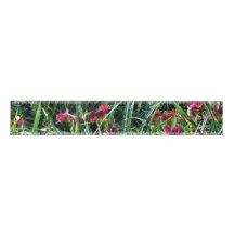 Daylilies de Reblooming