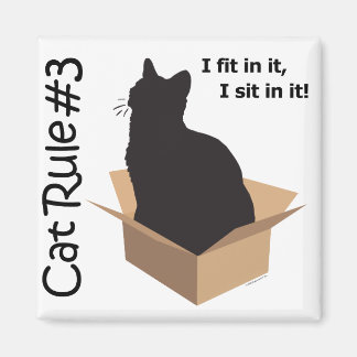 Regla de gato #3 imanes