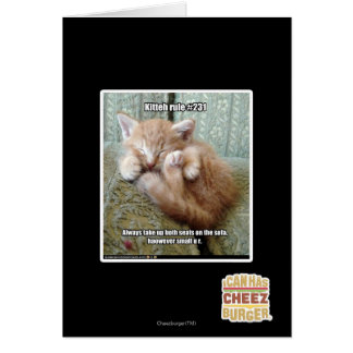 Regla de Kitteh #231