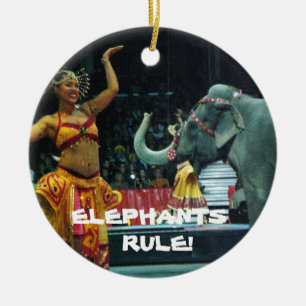 ¡REGLA DE LOS ELEFANTES! ornamento
