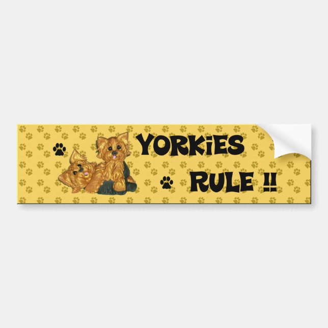 ¡Regla de Yorkies!! Pegatina para el parachoques (Frente)
