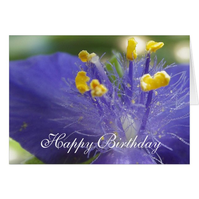 Reina A morada (Anverso (Horizontal))