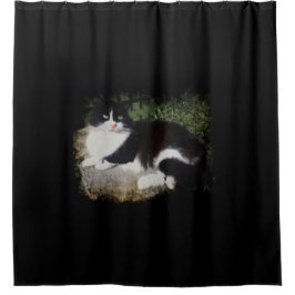 Reina de la cortina de ducha del gato del jardín