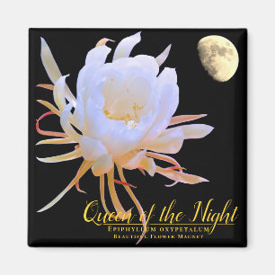 Reina de la Noche imán