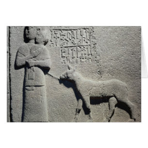 Reina Tuwarissa, esposa del rey Araras