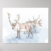 Reindeer en la impresión de nieve