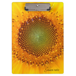 Relación de oro, portapapeles de girasol