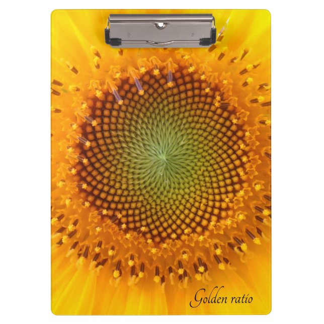Relación de oro, portapapeles de girasol (Anverso)