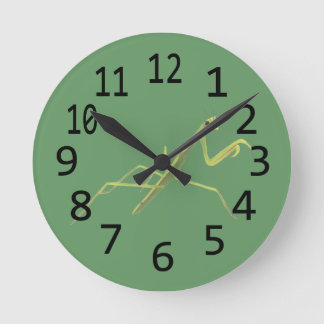 Relacionando el reloj de pared de pintura de insec