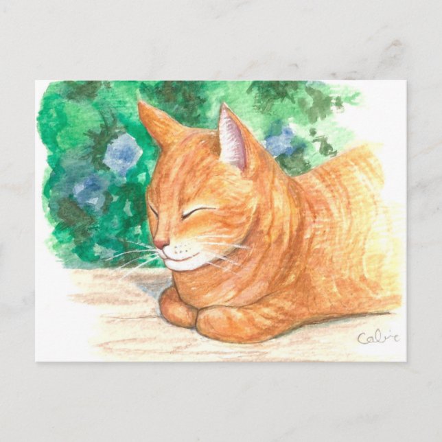 "Relajación de gato Naranja". Postal (Anverso)