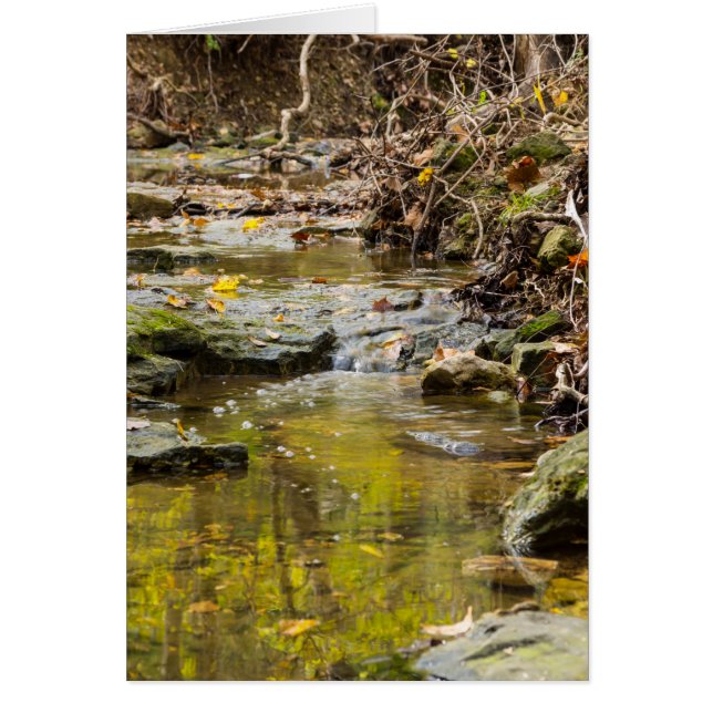 Relajación en las ropas del norte (Frente)