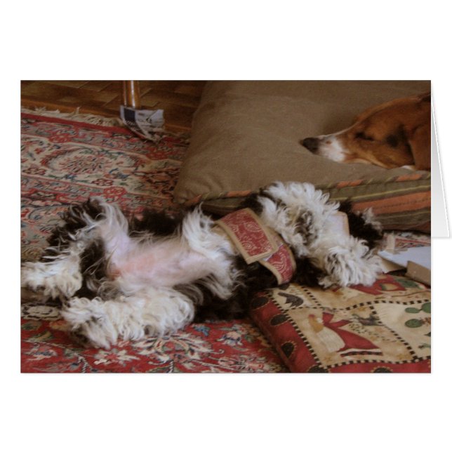 ¡RELAJARSE! (Anverso (Horizontal))