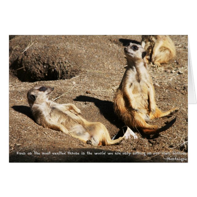 Relájate... (Anverso (Horizontal))