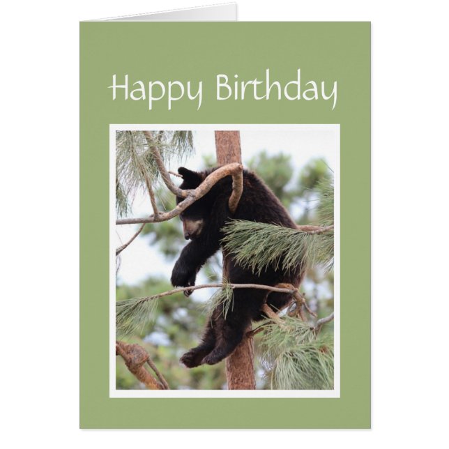 Relájate, es tu oso de cumpleaños para cualquiera  (Frente)