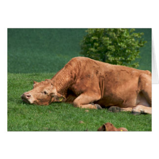 Relájate, la vida es demasiado corta