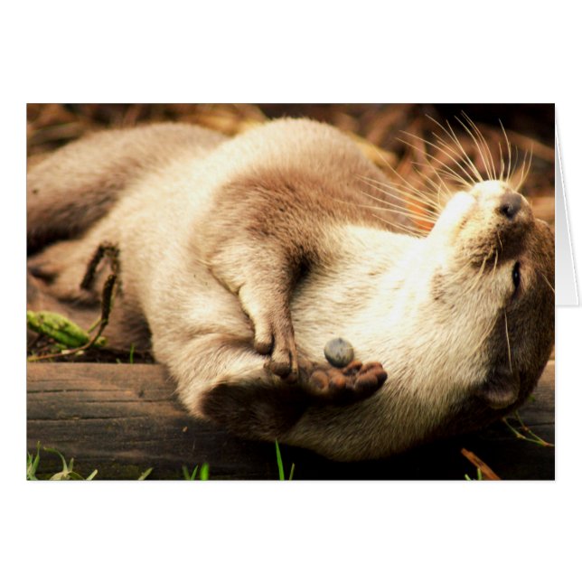 ¡Relájese y goce! (Anverso (Horizontal))