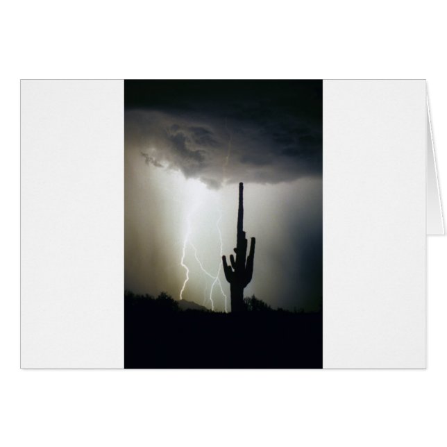 Relámpago de tierras altas del desierto (Anverso (Horizontal))