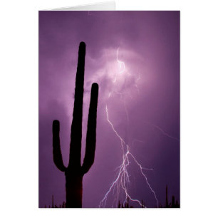 Relámpago púrpura y cactus, AZ