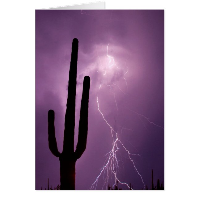 Relámpago púrpura y cactus, AZ (Frente)