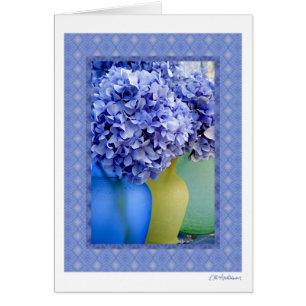 Relevo VII del Hydrangea