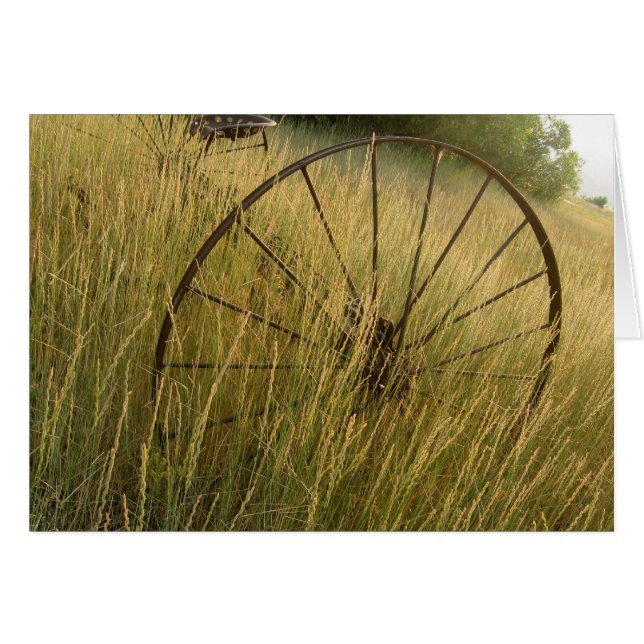 Relic De Granja (Anverso (Horizontal))