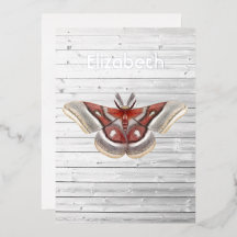 Invitación de papel de estaño con polilla rústica