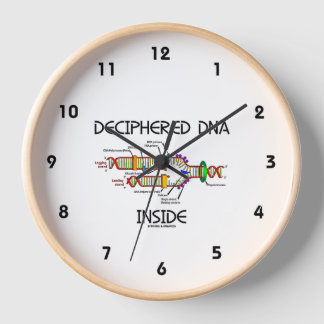 Reloj ADN decipado dentro del humor de replicación del A