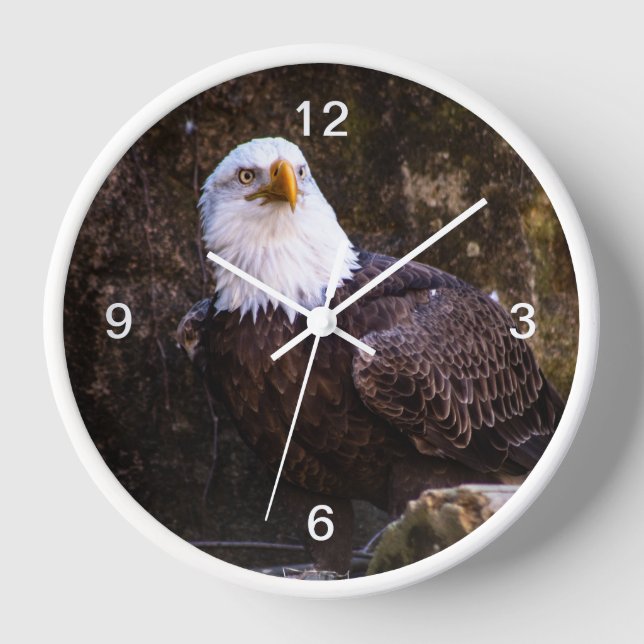 Reloj Águila calva (Anverso)
