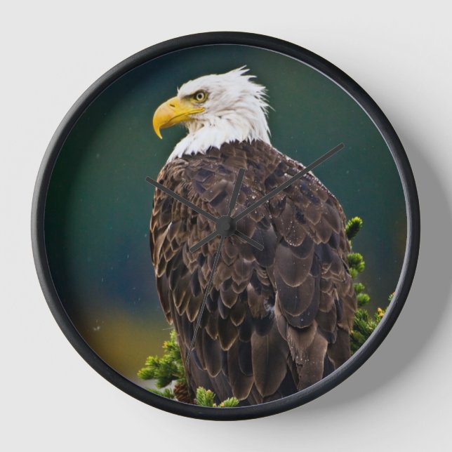 Reloj Águila Calva Americana Posada (Anverso)