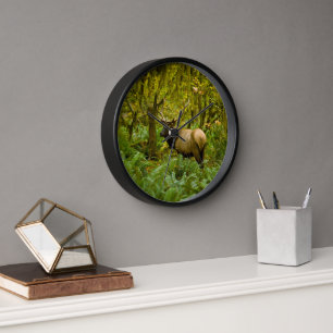 Reloj Alce de Roosevelt toro