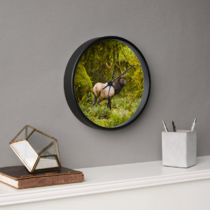 Reloj Alce Roosevelt Toro Párado En Pradera