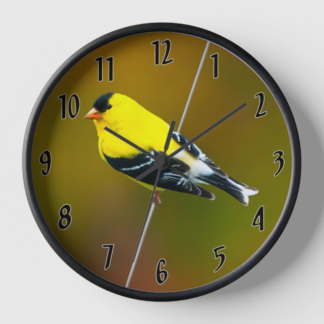 Reloj American Goldfinch - Fotografía original (Anverso)