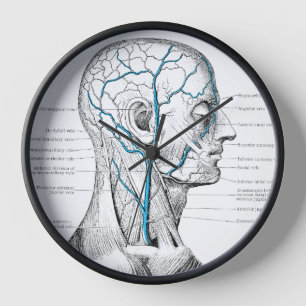 Reloj Anatomía vintage de las venas faciales de los músc