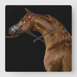 Reloj árabe del caballo de la demostración de la