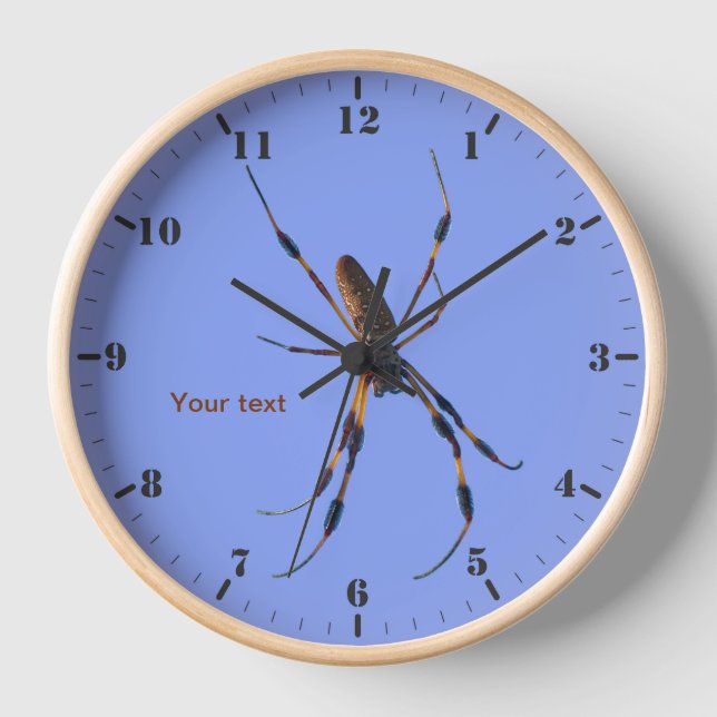 Reloj Araña de seda dorada (Anverso)