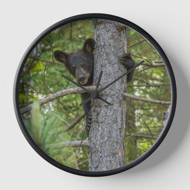 Reloj Árbol de escalada del cubo del oso (Anverso)