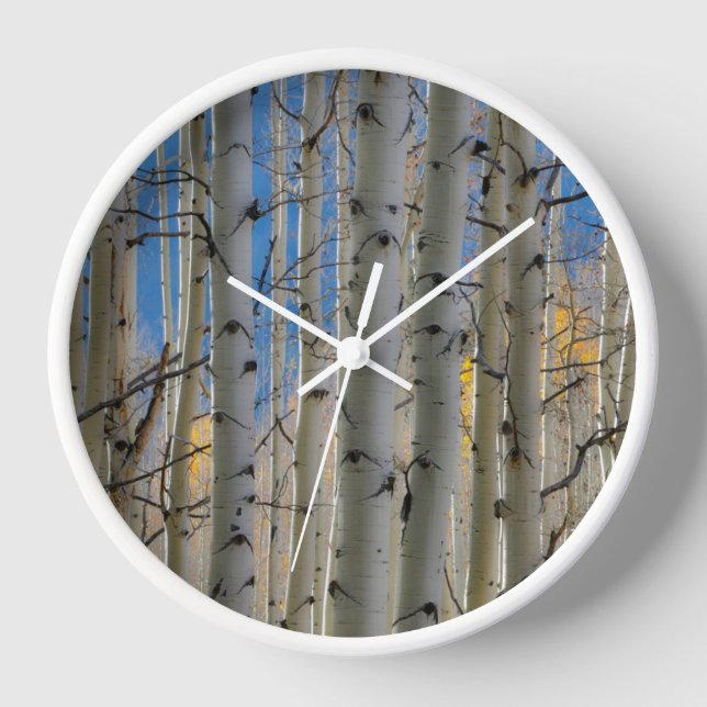 Reloj Arboledas de álamo temblón | Montañas Rocosas de C (Anverso)